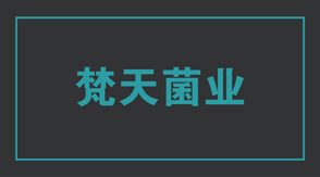 食品行业淮安淮阴区工作服设计款式